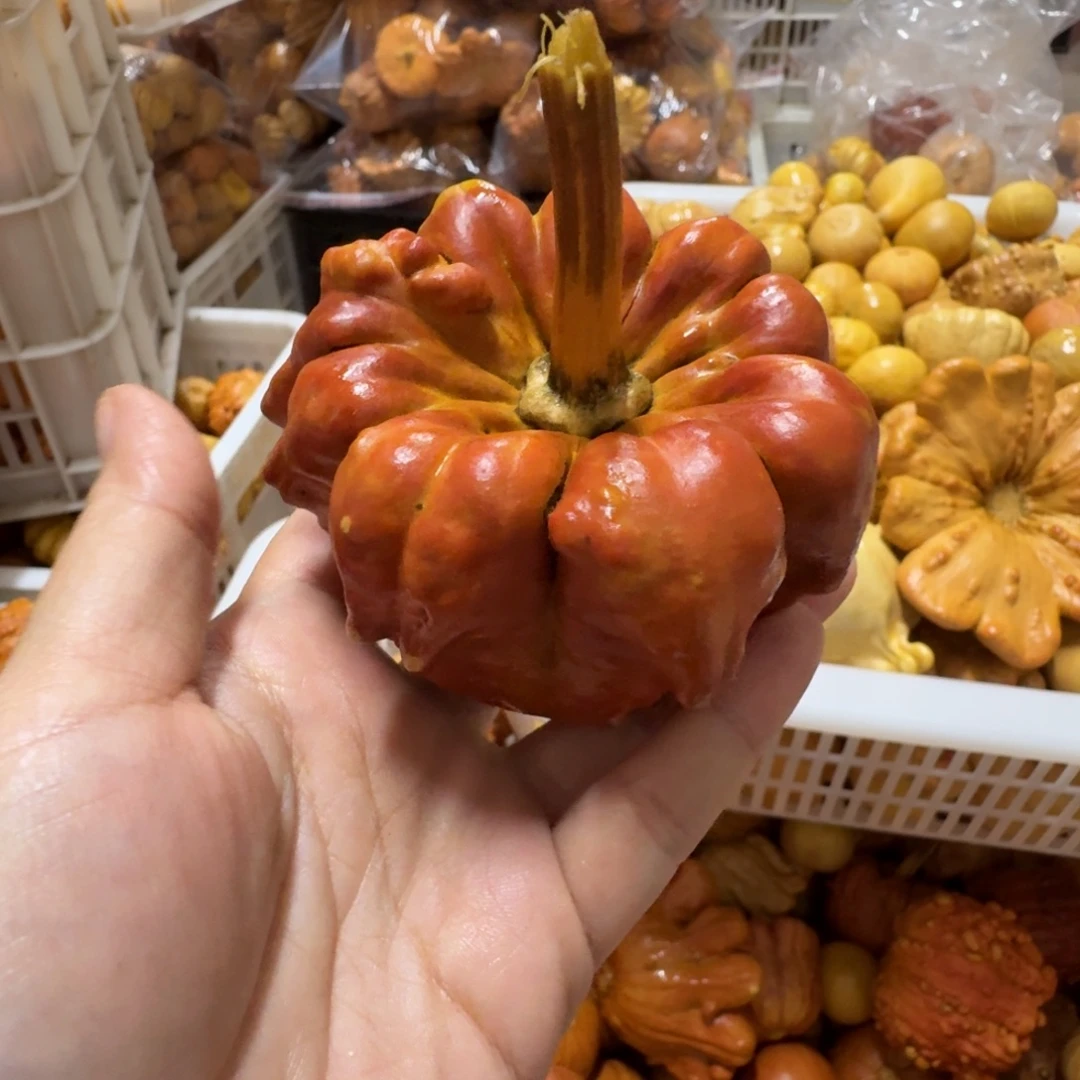 方***元特价瑕疵葫芦不退不换