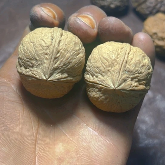 把件文玩核桃卡38金蟒三楞32号