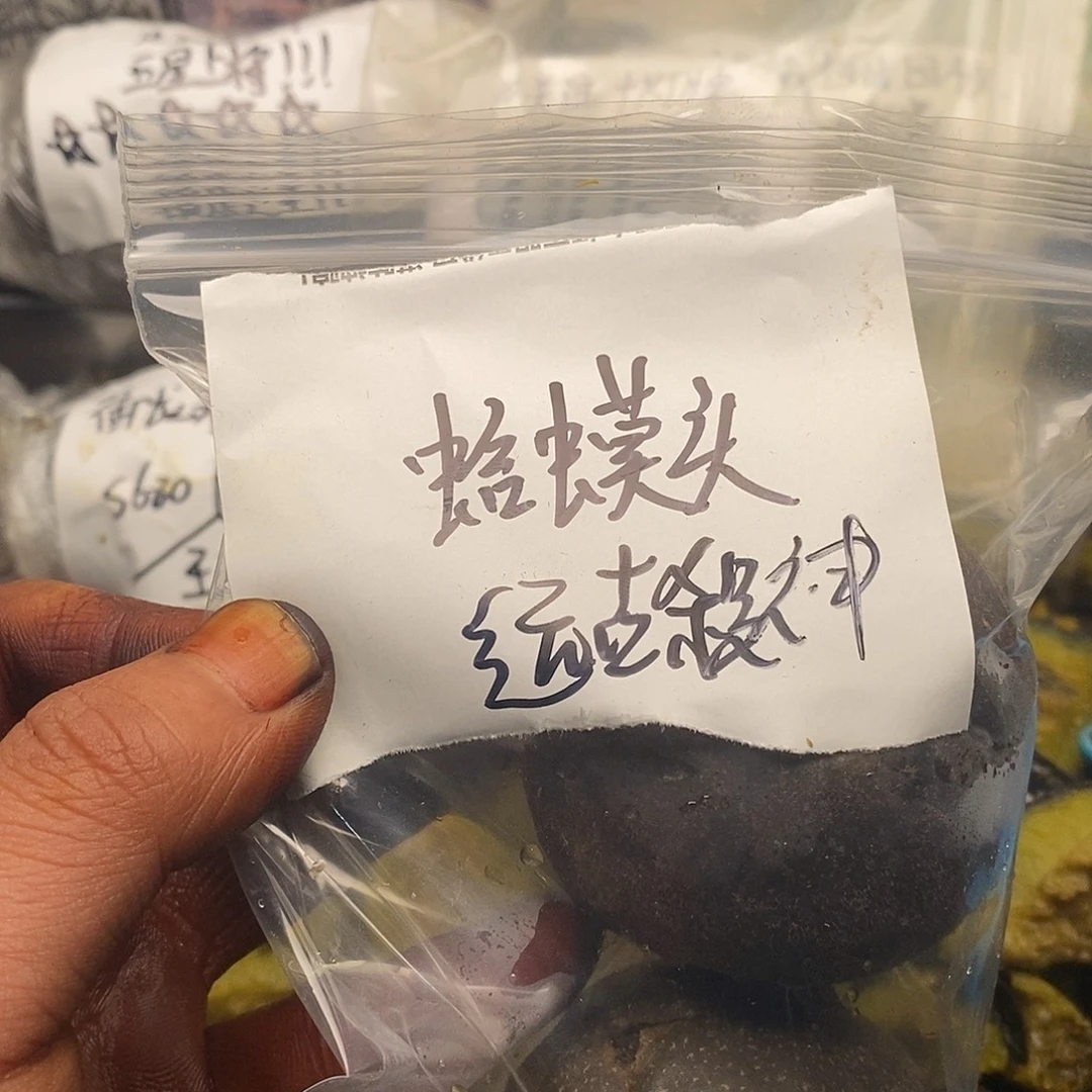 远***主发挥别别扭扭不会呵护