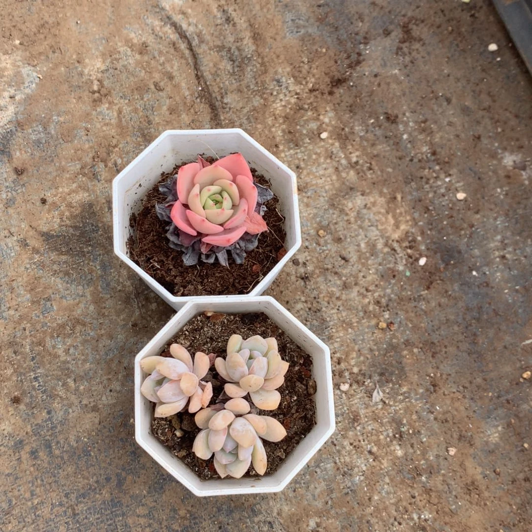 那时候是个啥东西不敢碰