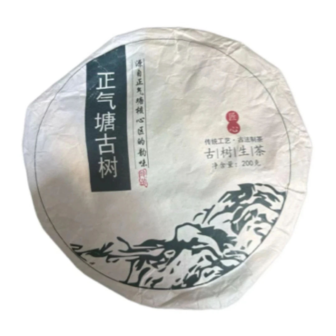 2025年头春正气塘古树普洱生茶饼200克
