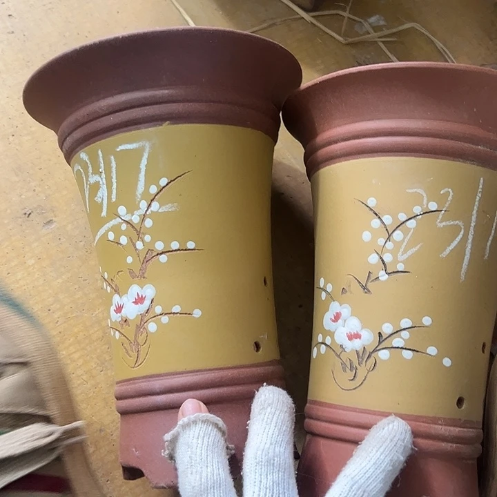 紫砂兰花需辣椒辣椒兰花盆