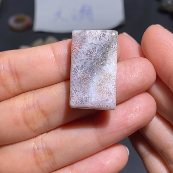 【闪购商品】未镶嵌珊瑚玉硅化玉