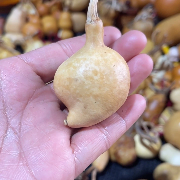 烟****葫芦葫哈哈哈哈哈哈