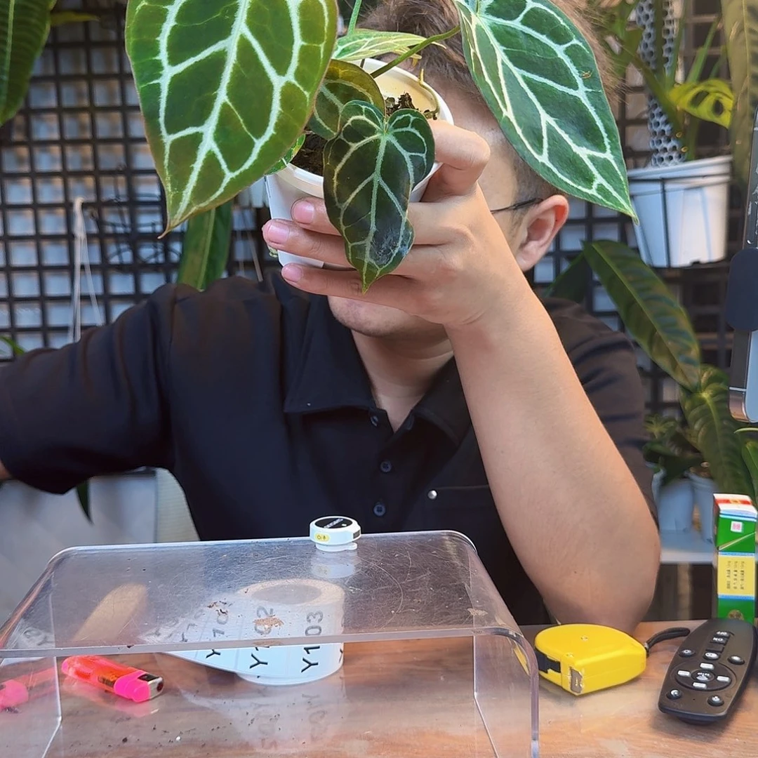 C***c无花朵一物一拍Y95