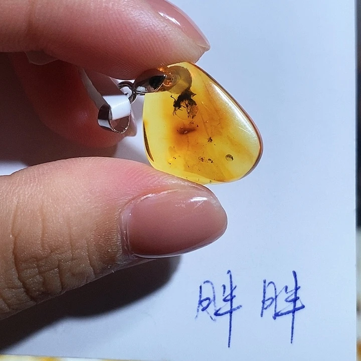 未镶嵌颈饰琥珀虫珀吊坠