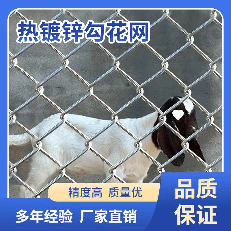 热镀锌铁丝网围栏果园养殖防护钢丝网养鸡养狗不生锈勾花网格栏网