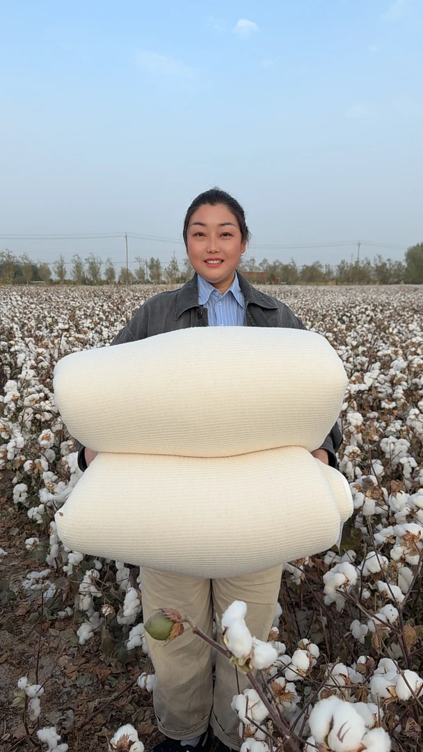 刘大吹新疆优质手采棉花被网纱被棉花冬被透气柔软包边新疆棉花被