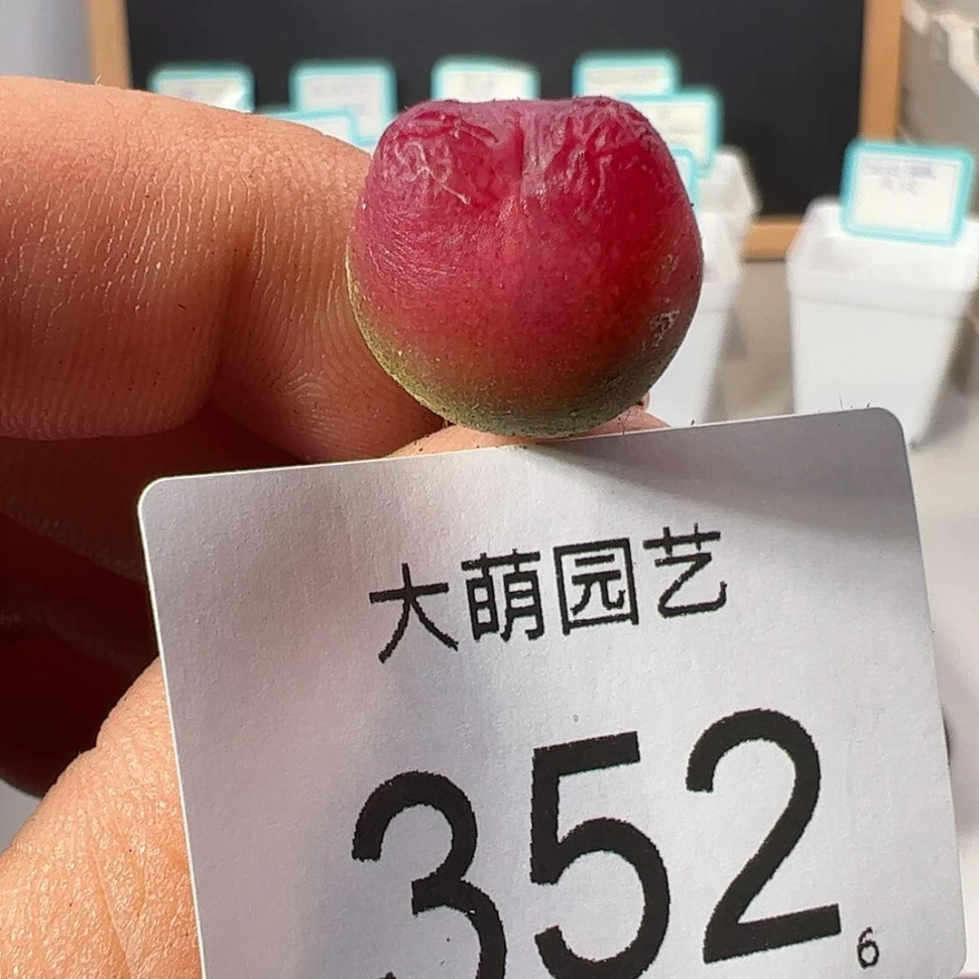 0000352 一物一拍……