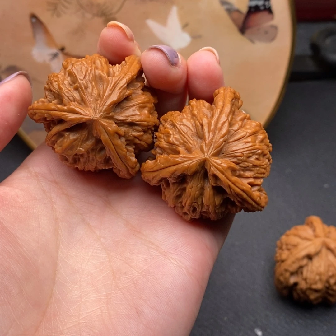 羽*白狮子1111111111