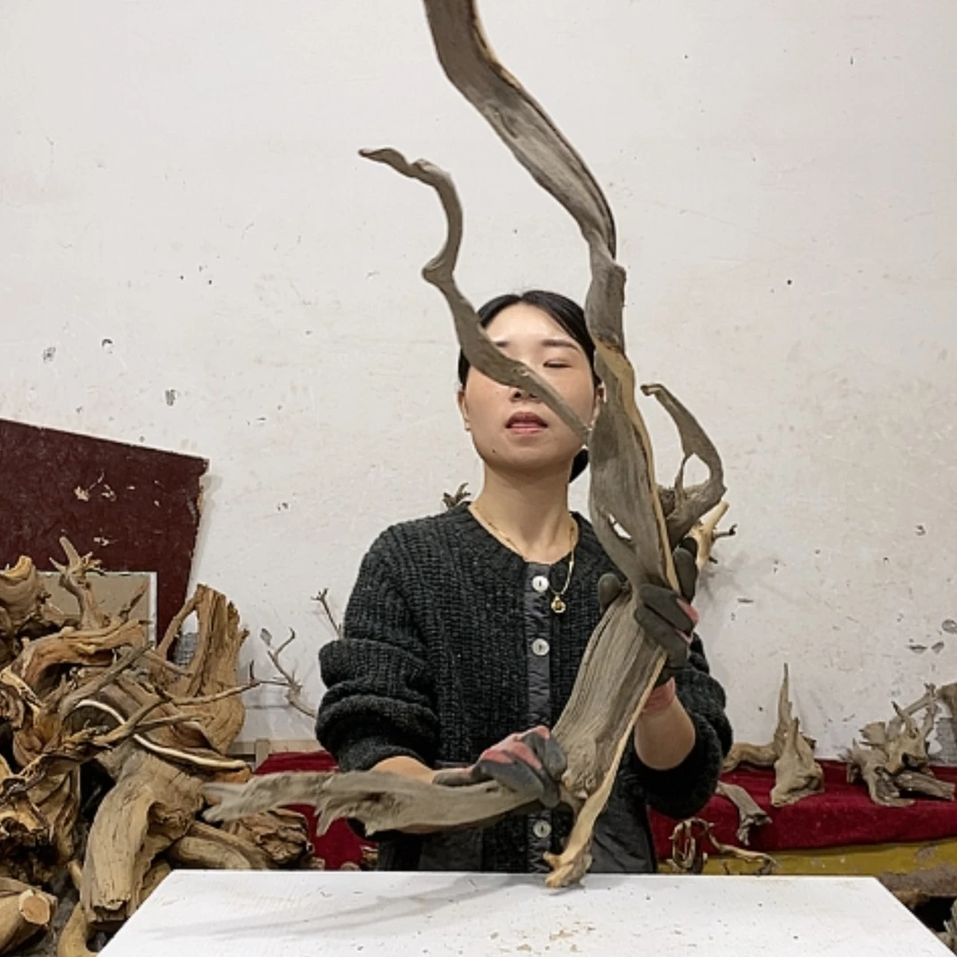 【闪购商品】柏木阿*我们都是好孩子