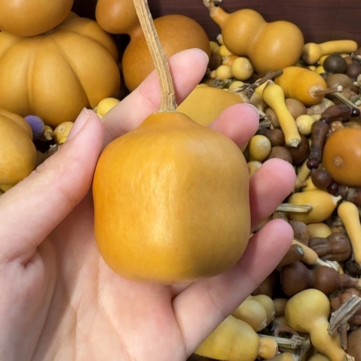 葫芦葫芦葫芦不包邮