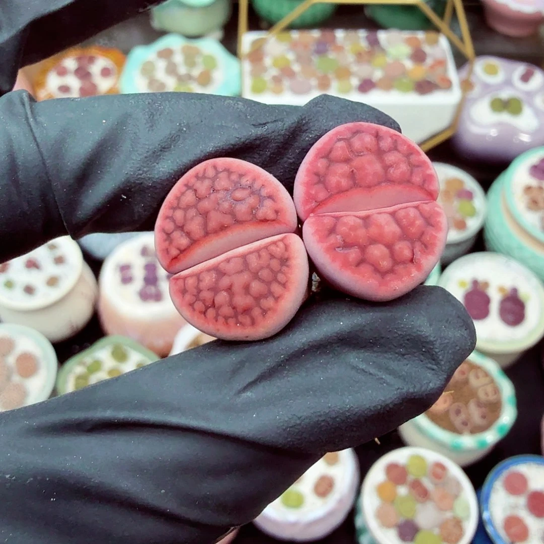 郎哥18包邮0609-113