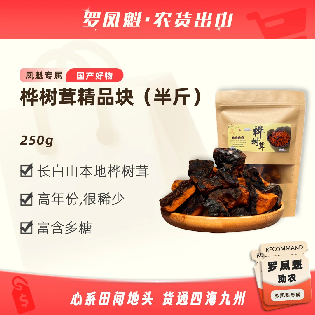 【罗凤魁专属】长白山桦树茸精品块 无添加无提取 净含量250g