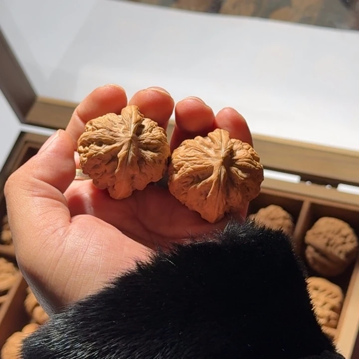 文玩核桃把件1031号全品红锦鲤40mm以下