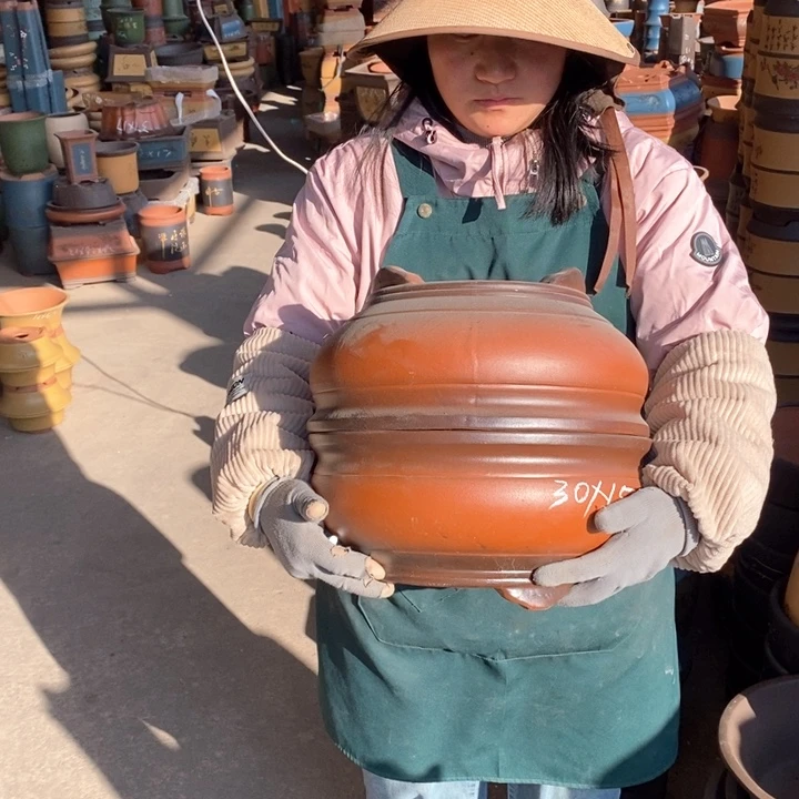 紫砂花盆盆栽花卉苗木种植