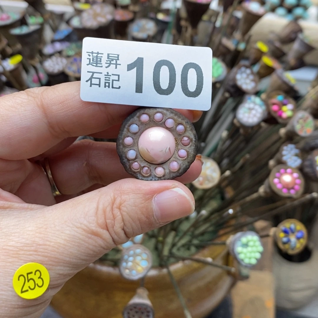 核桃木/黑胡桃（胡桃木）青****?100