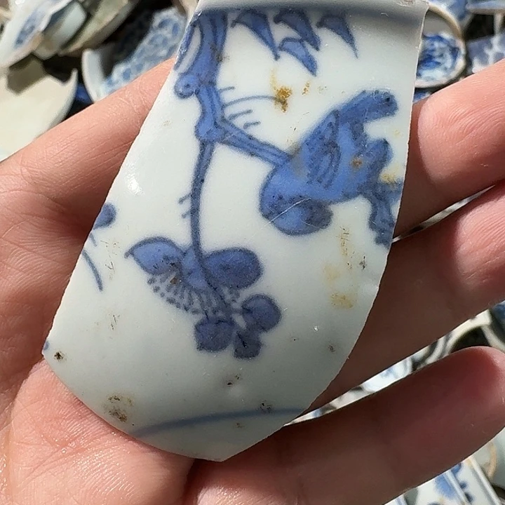 长***庚瓷片瓷片标本，顺丰包邮