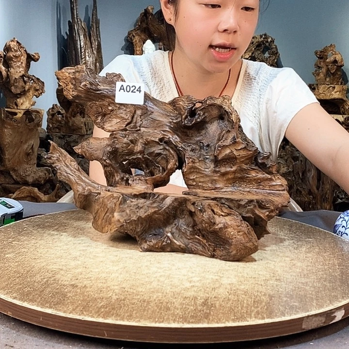 茶盏龙****）024株木随行的小根艺