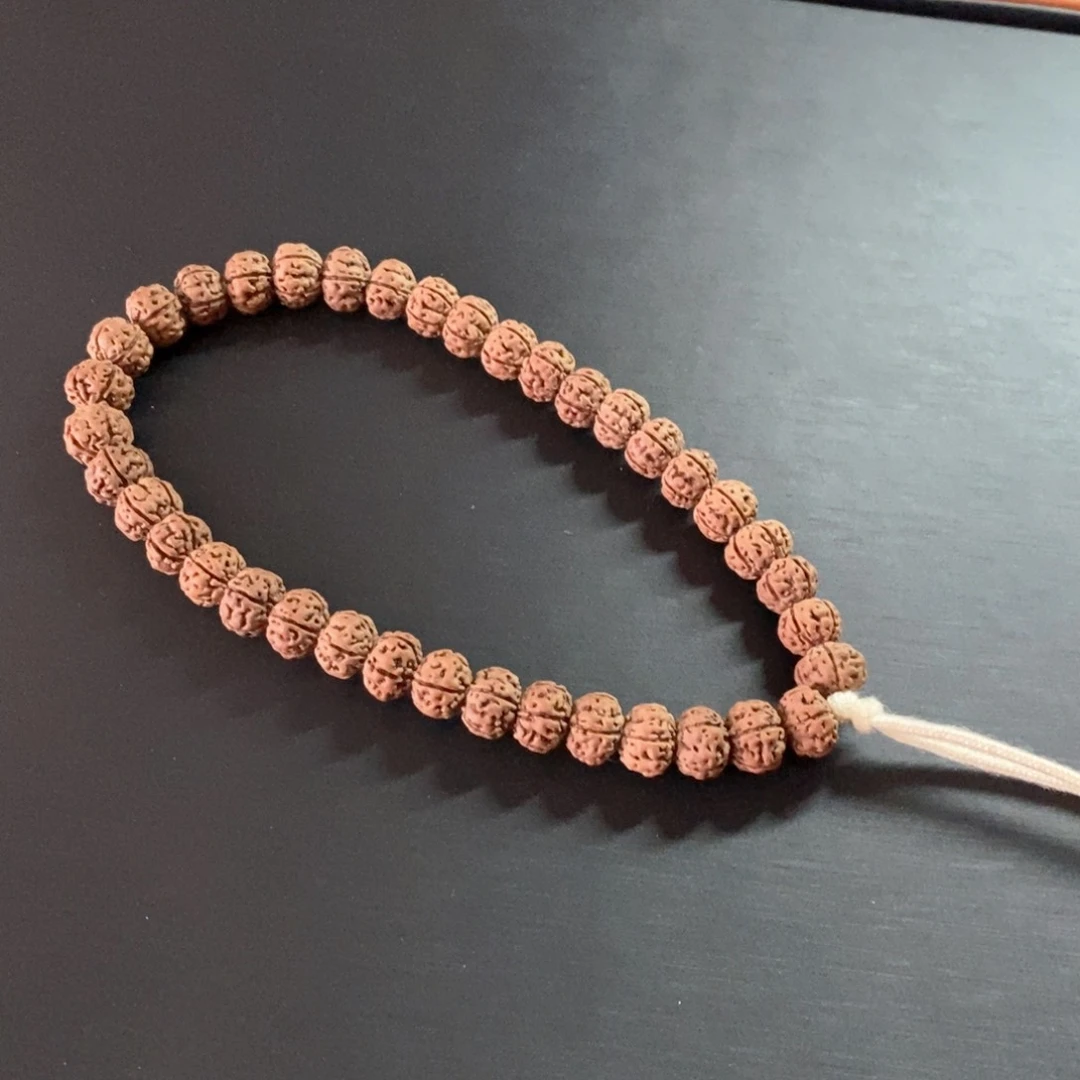 金刚菩提手串11111111111