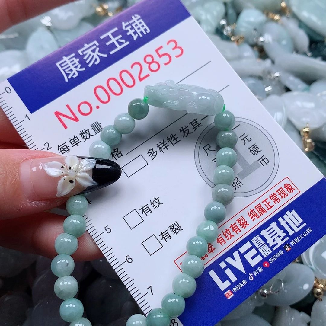 颈饰未镶嵌翡翠v