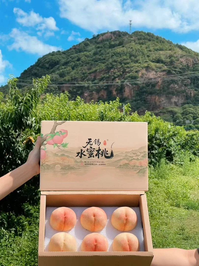 【买一送一6-7两】桃王晚湖景蜜露正宗无锡阳山水蜜桃新鲜现采现发