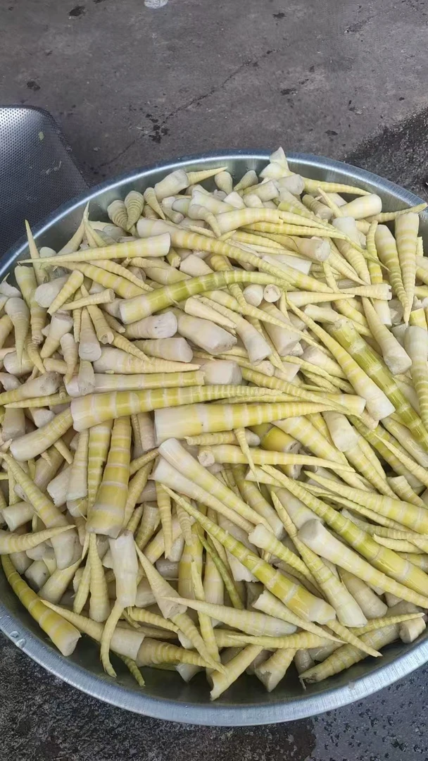 云南土特产威信罗汉笋