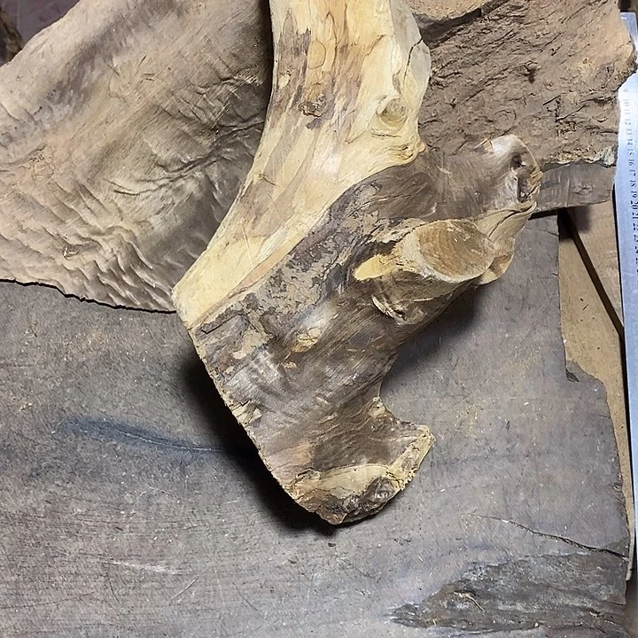 乌木类金丝楠木小叶