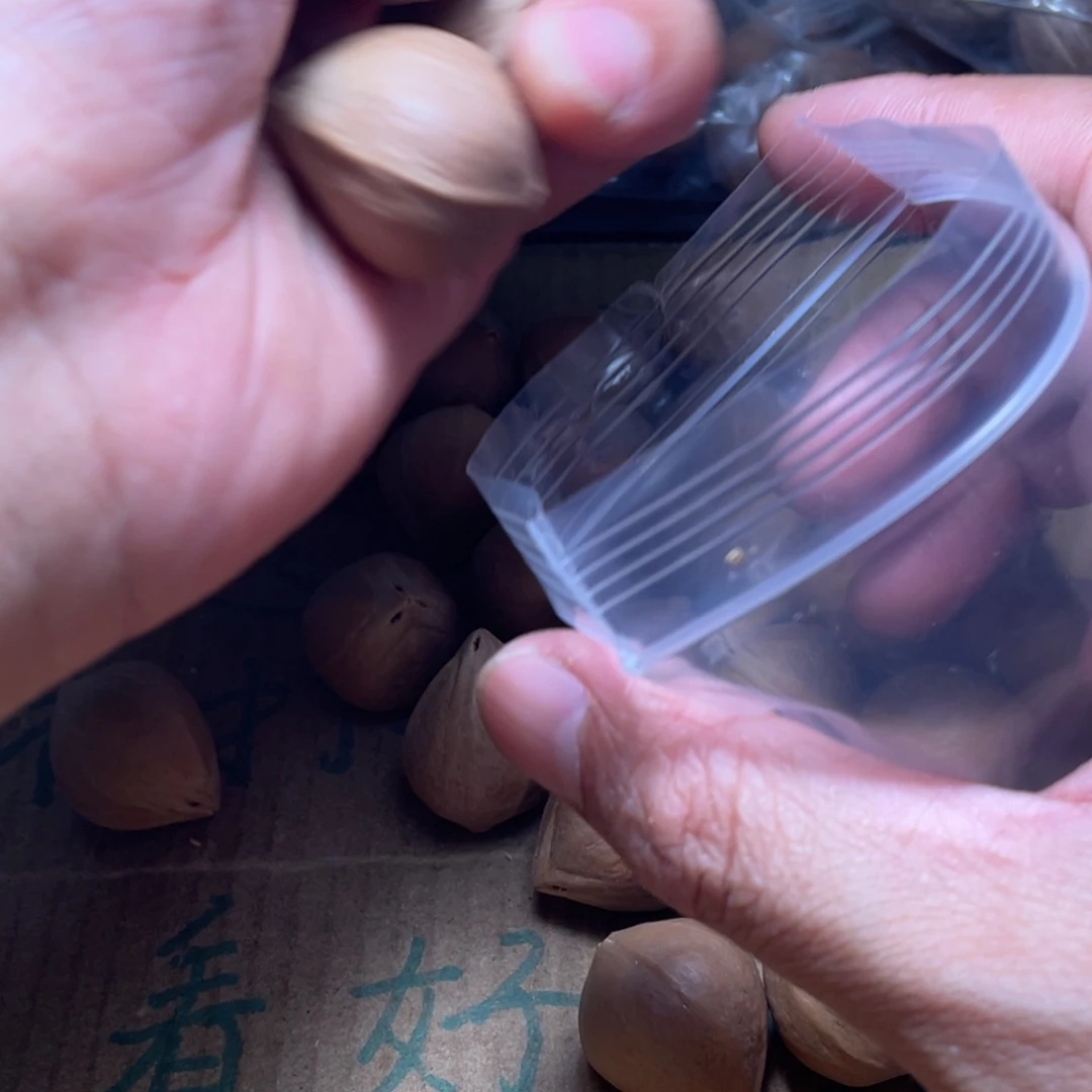 守***w橄榄核吊坠橄榄核