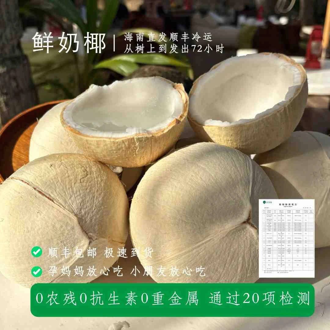 【顺丰包邮当天发货】海南鲜奶椰/椰皇/奶椰/椰青 海南新鲜椰子孕妈