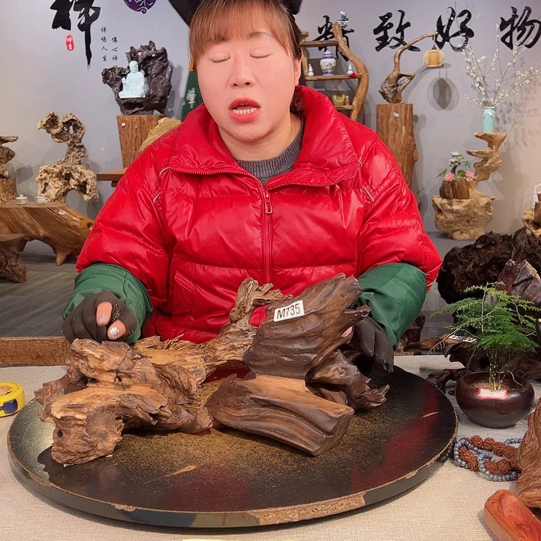 木【****】735/3cvhjhgvnj