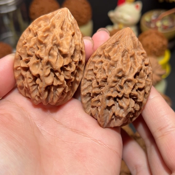 核桃41原桩招财鼠