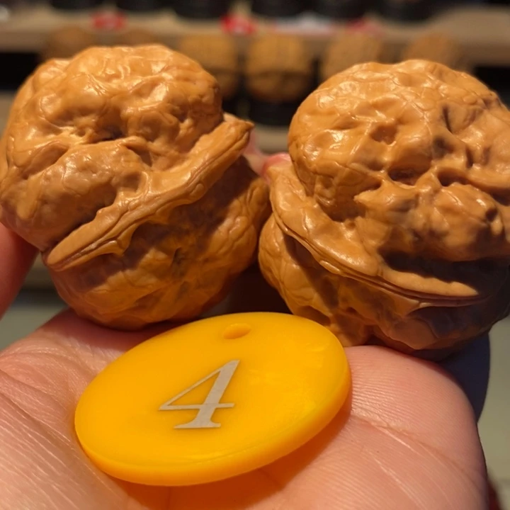 咯***公老树金蟾疙瘩包44尺寸