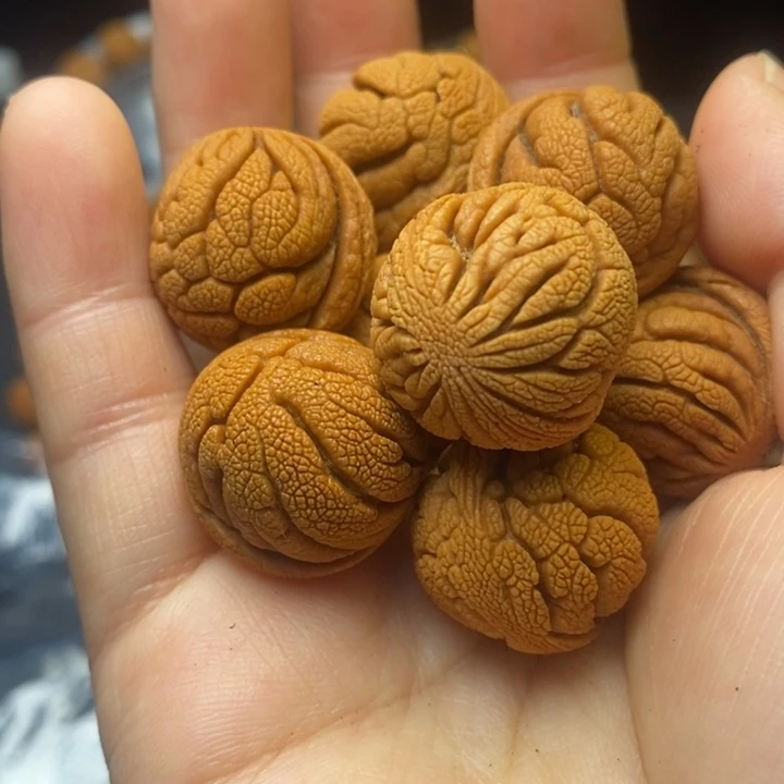 桃核吊坠秦岭山野生桃核