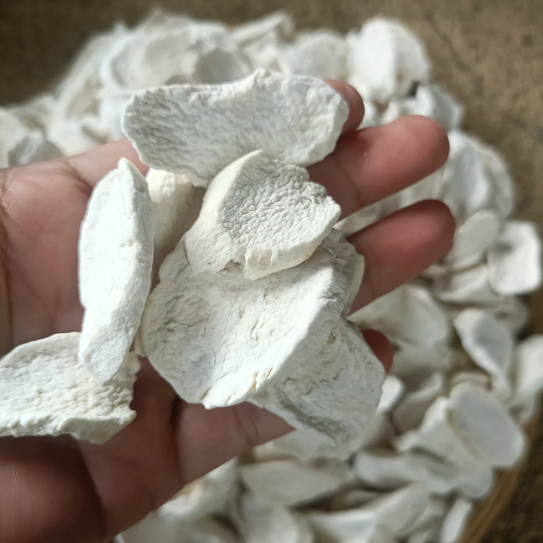 北纬二十五度   山药～非香菇