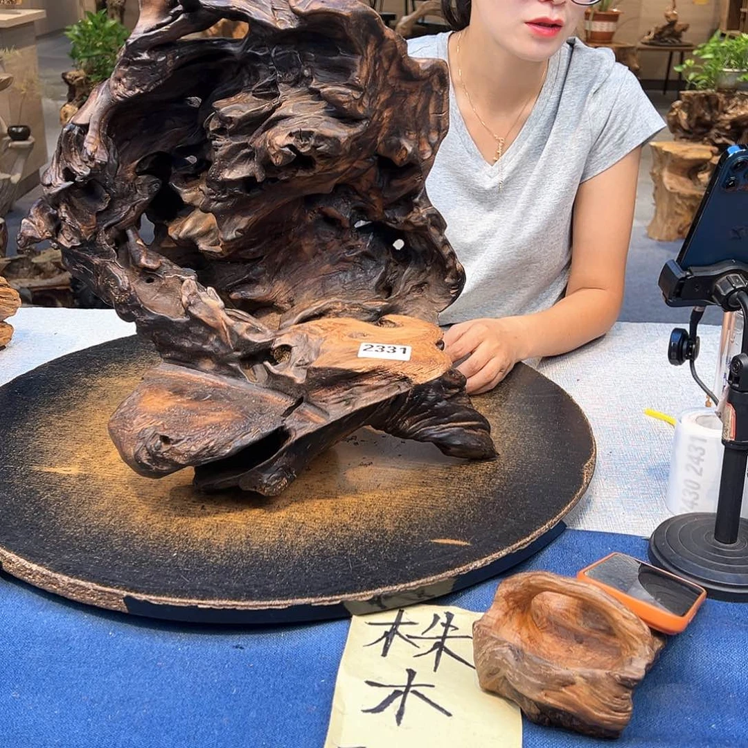 如***令木2331cgbvxcbvxcbvcvb