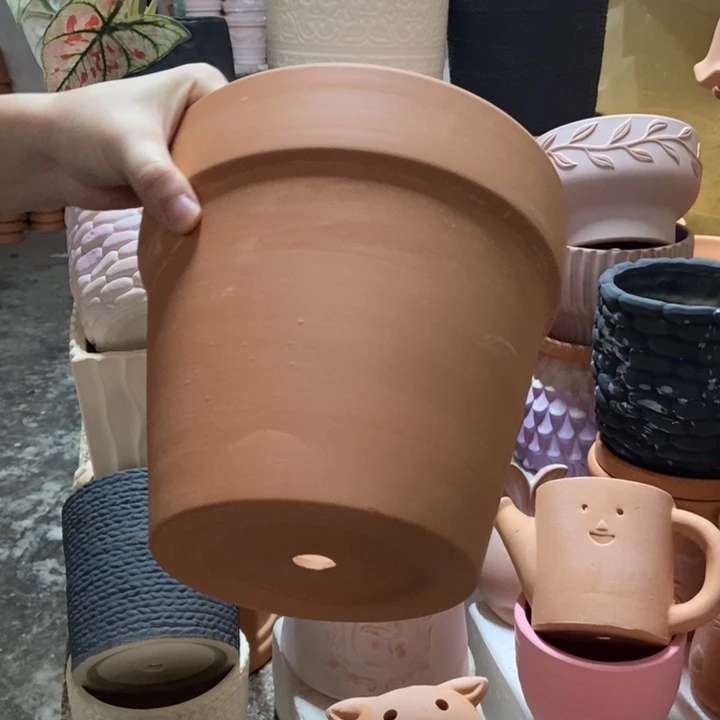 20×19红陶国际盆1个