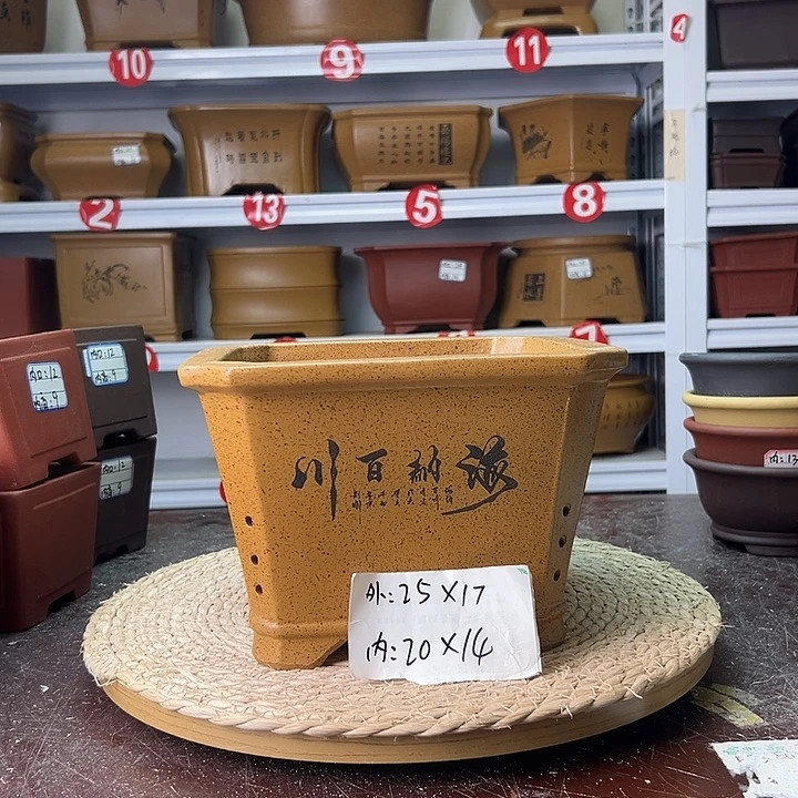 紫砂花盆蛇年大吉