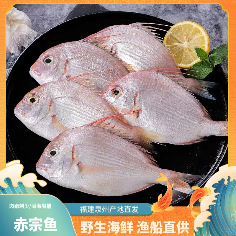 【赤宗鱼】直播间海鲜螃蟹鱼虾顺丰发货新鲜到家