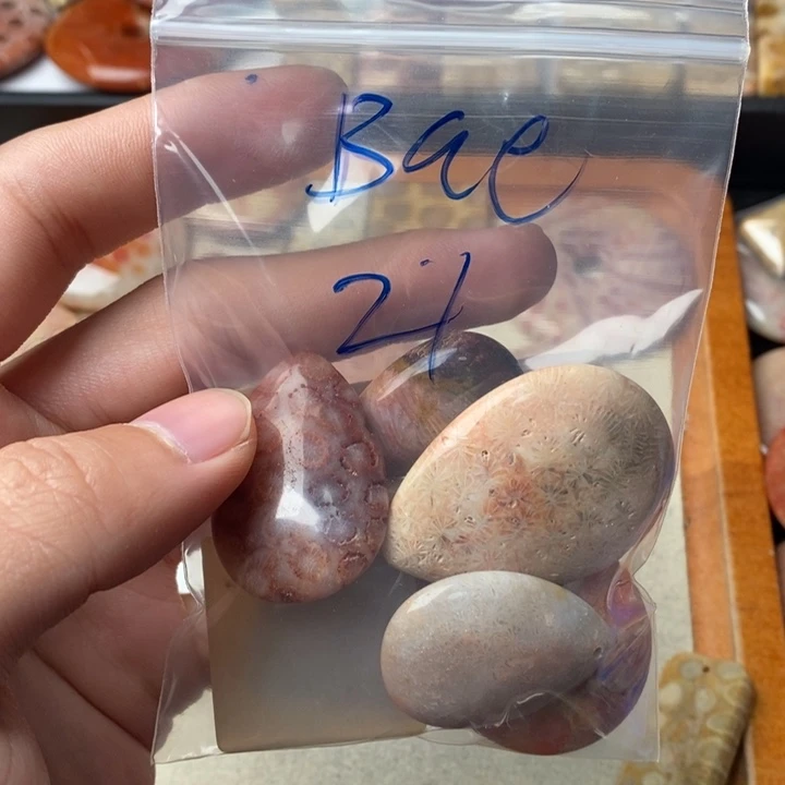 硅化玉颈饰足金镶嵌B*e