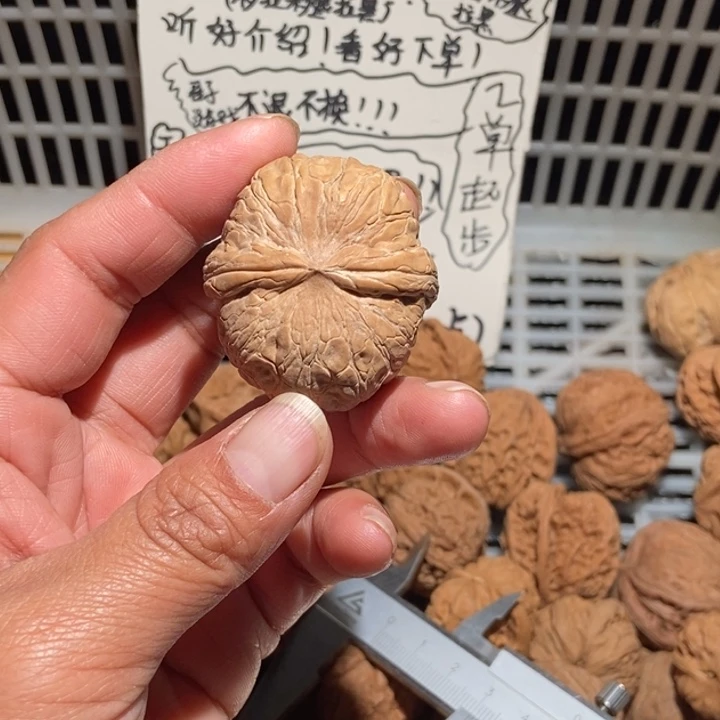 灵***羽核桃元宝尺寸42全品