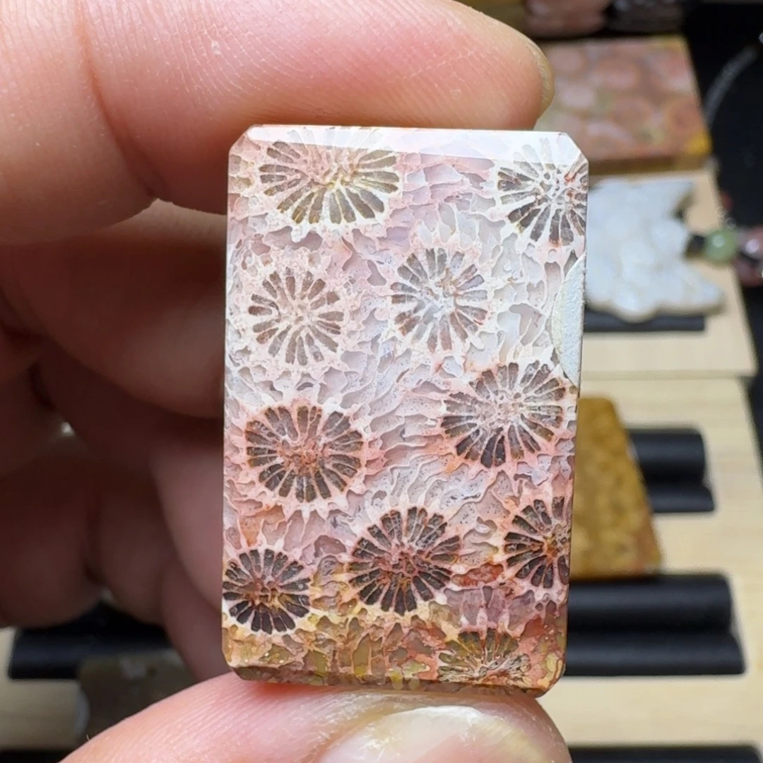 未镶嵌纯天然色有机玉石保真色硅化玉