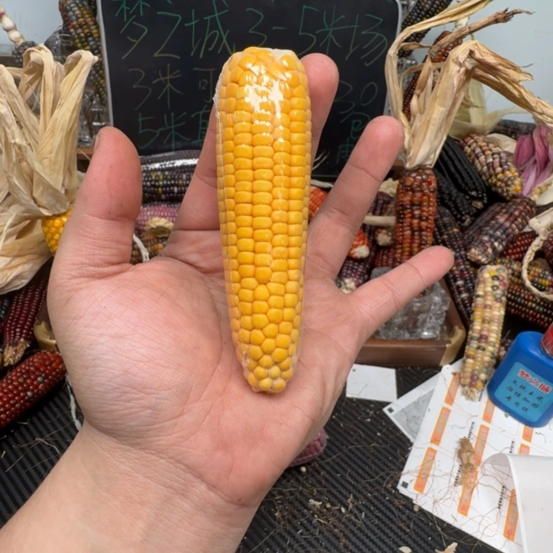 柏香籽/百香籽吊坠李****露