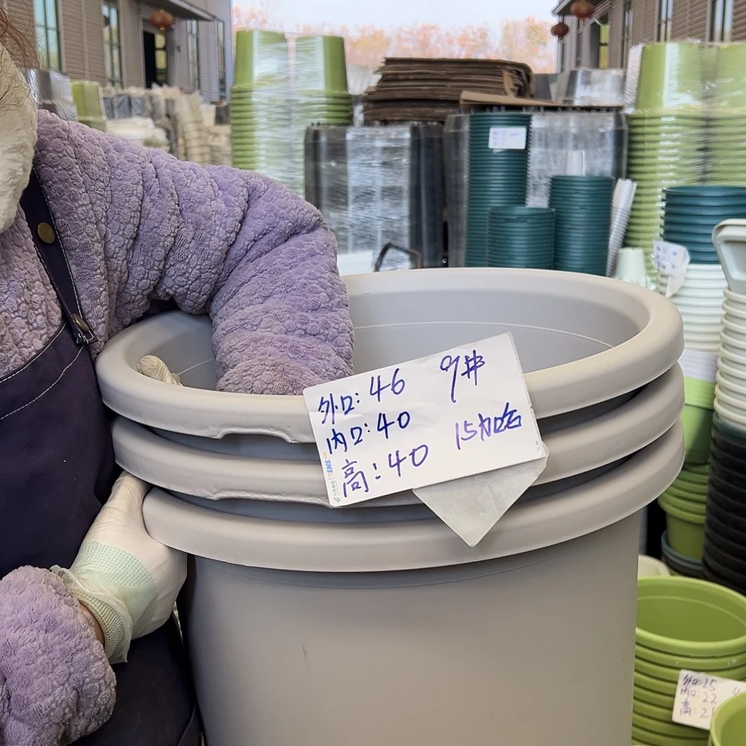 瑕疵四季盆9#灰白3个无托