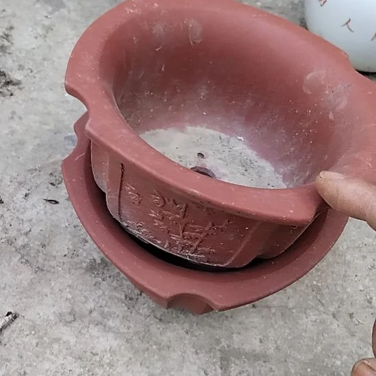 缸瓷器鉴定完毕之后