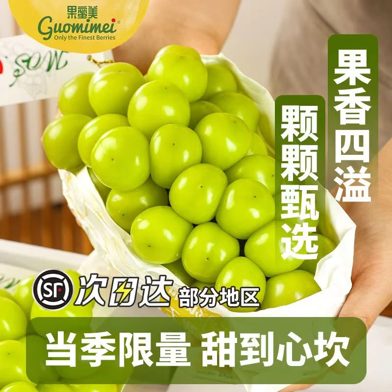 精品正宗阳光玫瑰晴王青提葡萄新鲜应季水果