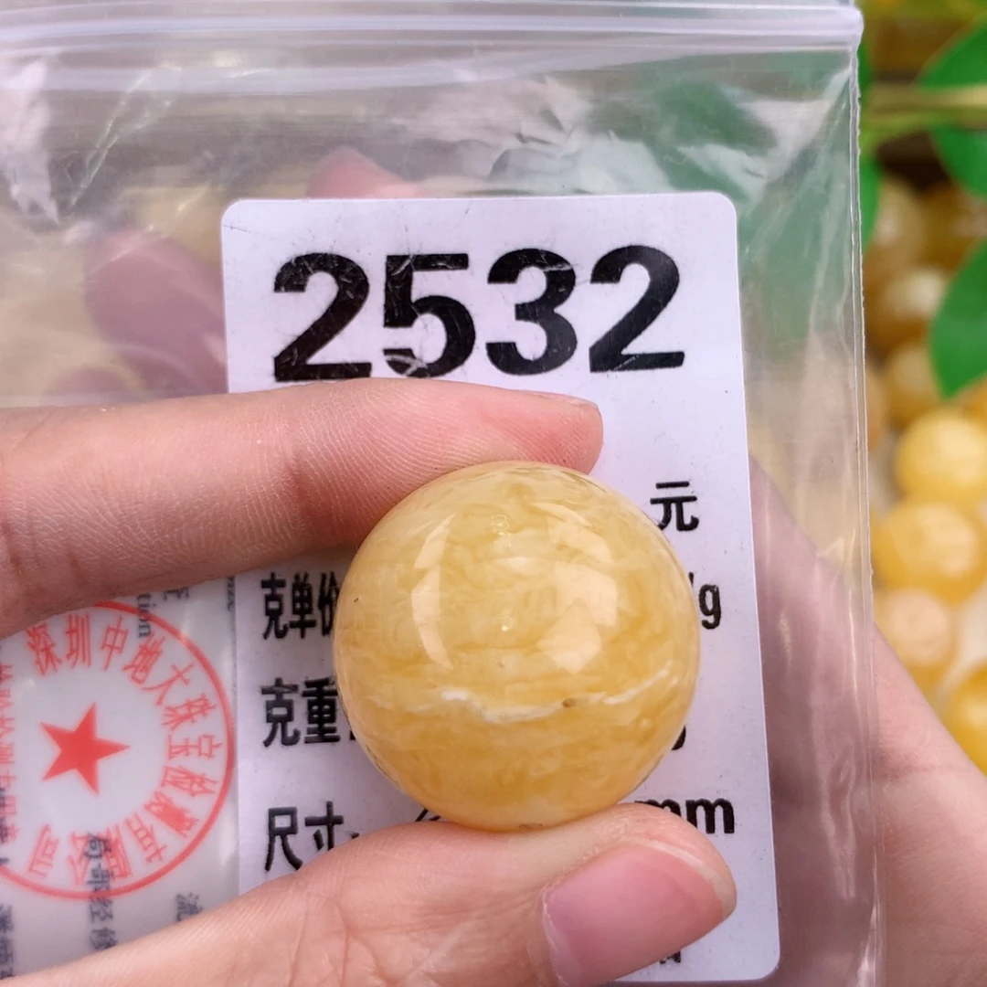 蜜蜡未镶嵌珠宝奇石25.3 植物