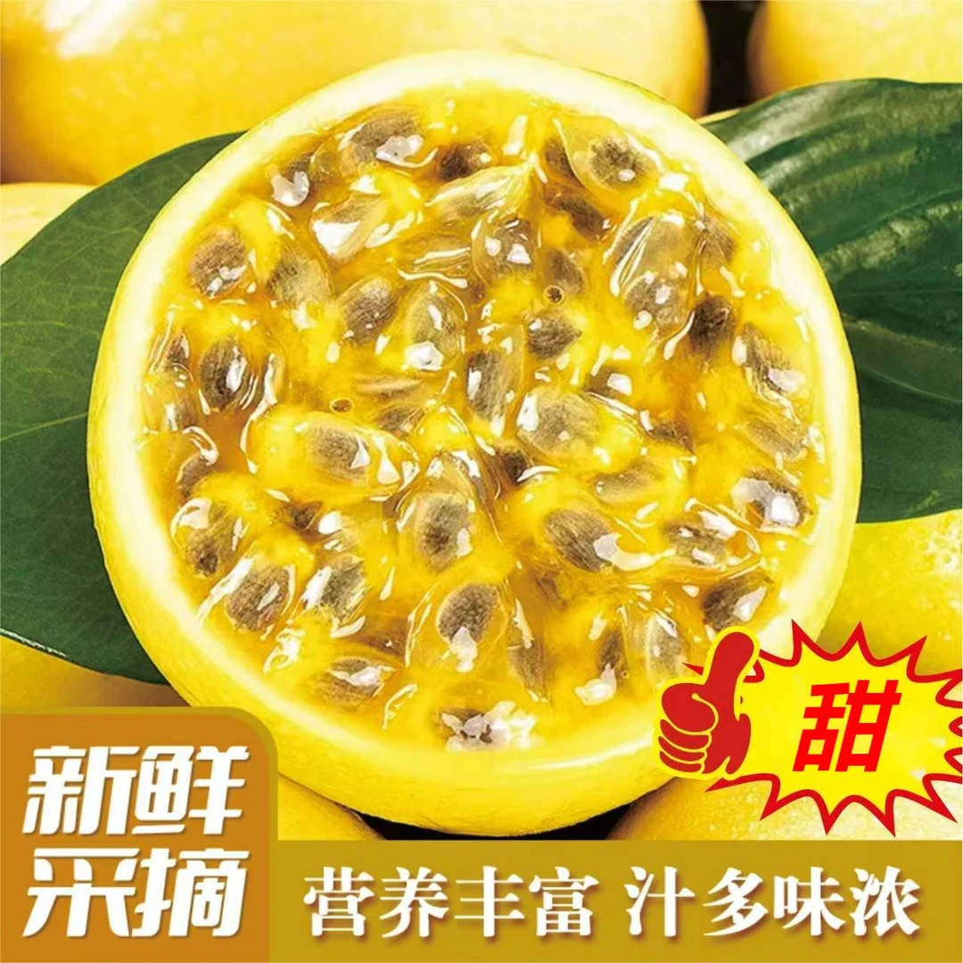 T31【钦蜜9号百香果】广西钦蜜9号百香果当季水果香甜产地直发jc