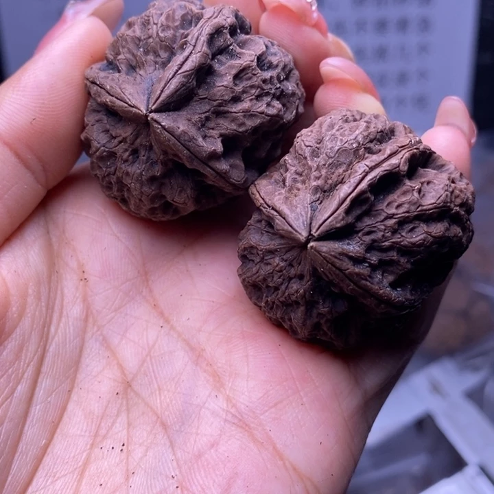 核桃云南野生铁核桃14号36mm