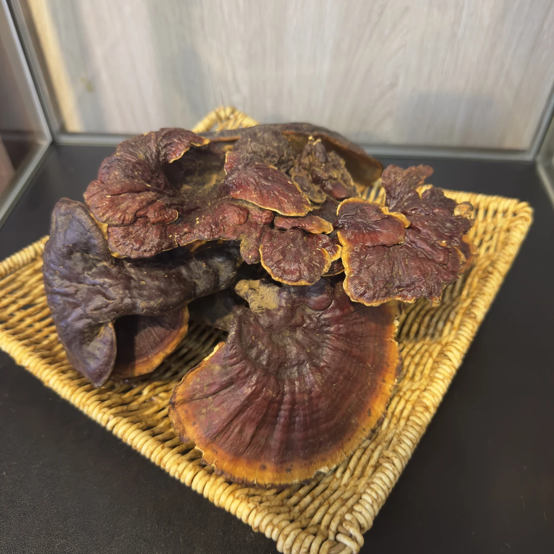 （吴哥同款）官方庄 4号灵芝整支散装农产品